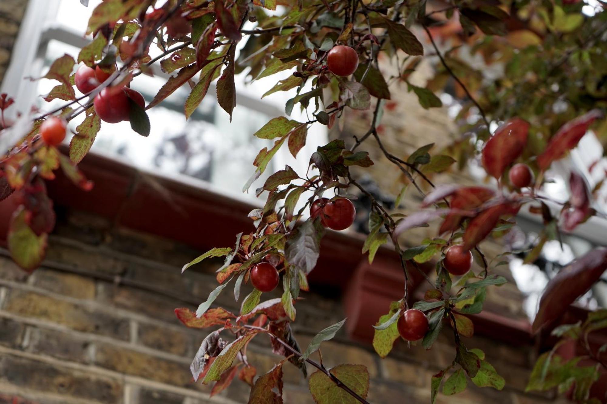 Beautiful London Home Sleeps 6, 2 Minutes To Metro Exterior foto